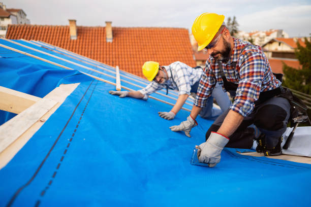 Best Commercial Roofing Services  in Ely, IA