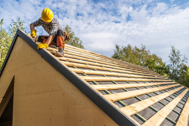 Best Roof Gutter Cleaning  in Ely, IA